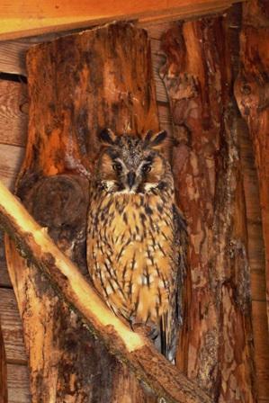 post-2500-018228700 1312730839_thumb.jpg