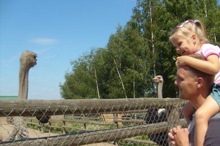 post-2500-026312600 1312731459_thumb.jpg