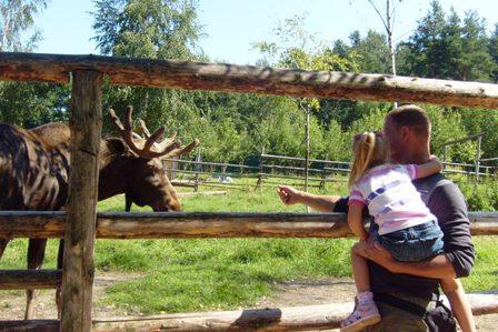 post-2500-055474700 1312731514_thumb.jpg