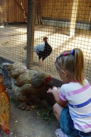 post-2500-091449500 1312730767_thumb.jpg