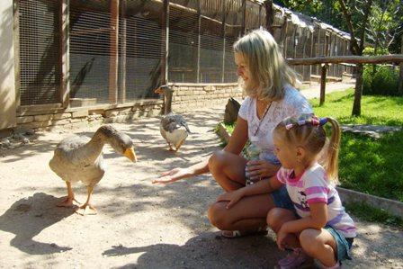 post-2500-095782300 1312730735_thumb.jpg