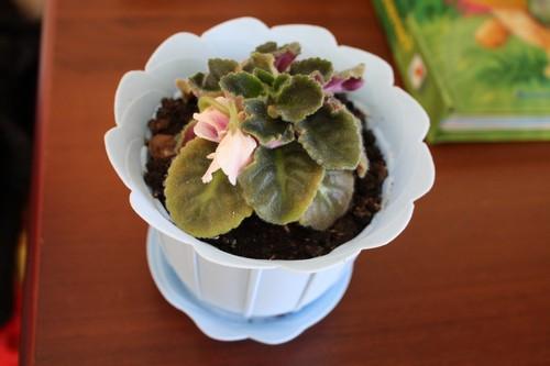 post-1403-004166400 1285751471_thumb.jpg