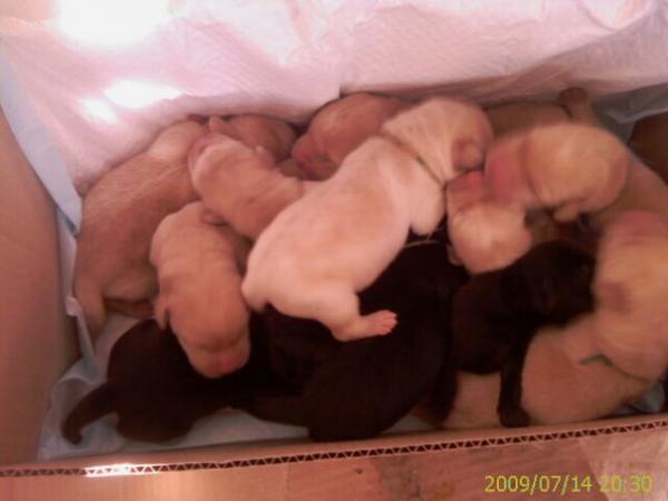 post-2259-008230000 1283949126_thumb.jpg