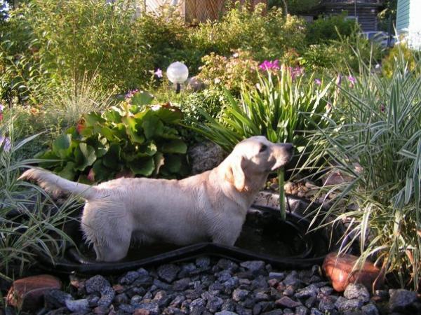 post-2259-046180100 1283948434_thumb.jpg