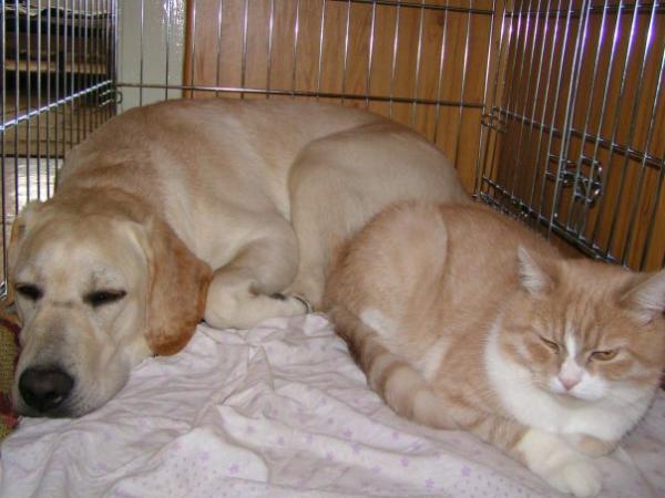 post-2259-079859900 1283949143_thumb.jpg