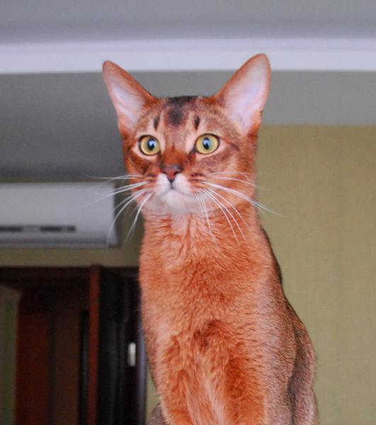 post-231-012991100 1284832748_thumb.jpg