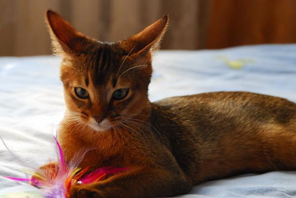 post-231-017243400 1284832590_thumb.jpg