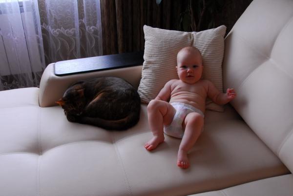 post-231-022696200 1284834153_thumb.jpg