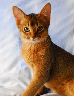 post-231-028436700 1284832618_thumb.jpg