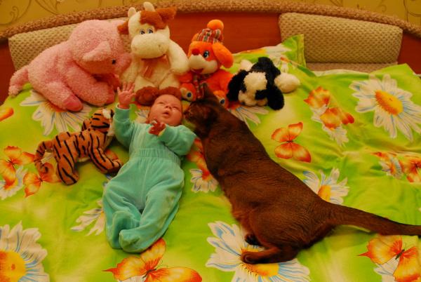 post-231-063186400 1284834123_thumb.jpg