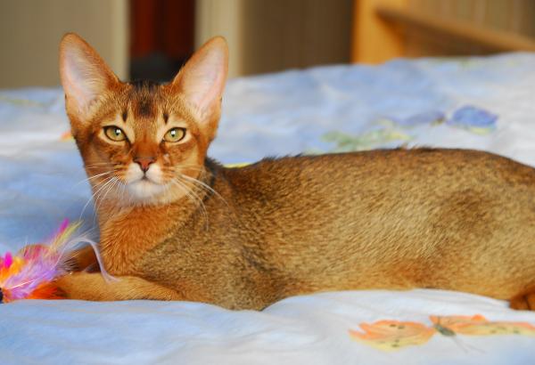 post-231-068368100 1284832658_thumb.jpg