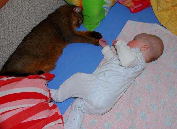 post-231-077534600 1284834094_thumb.jpg