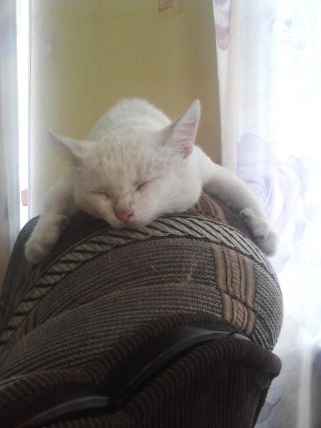 post-2337-003098100 1285503476_thumb.jpg