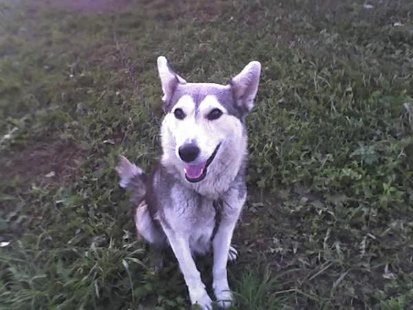 post-2337-027656800 1285503429_thumb.jpg