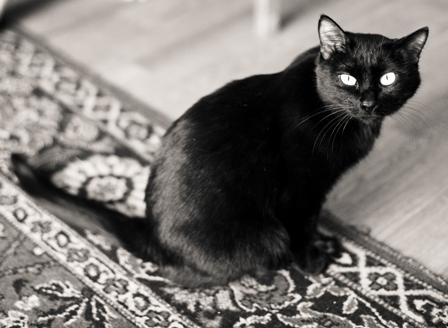 post-2618-020752200 1284636945_thumb.jpg