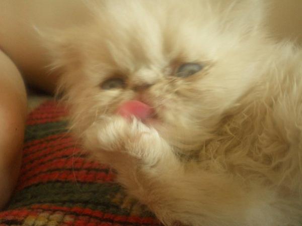 post-2618-053934800 1284636996_thumb.jpg