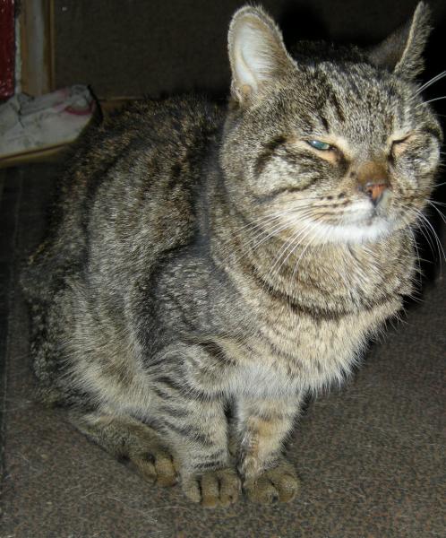 post-2734-090998600 1284396043_thumb.jpg