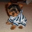 post-1134-049336400 1315552391_thumb.jpg