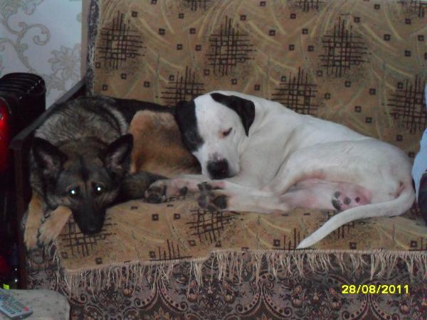 post-3038-057644300 1317269495_thumb.jpg