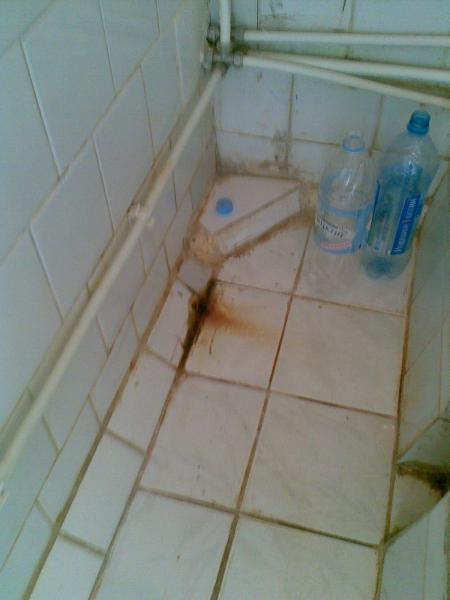 post-4327-025892000 1317063694_thumb.jpg