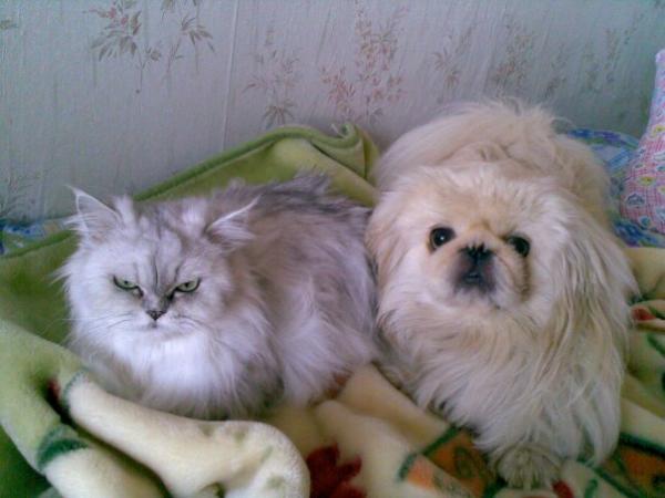 post-4327-047971000 1317261218_thumb.jpg