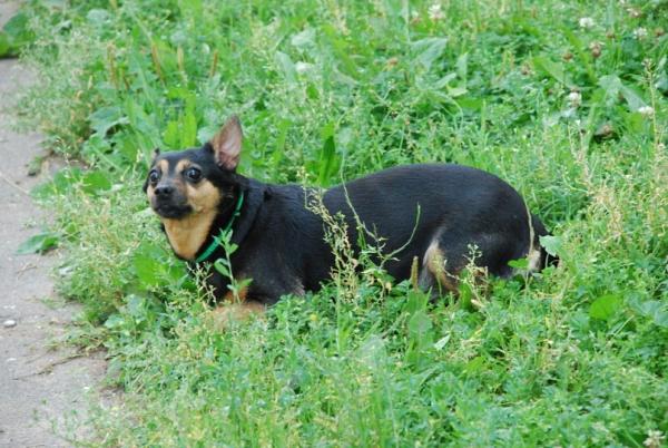 post-4327-079227900 1317261226_thumb.jpg