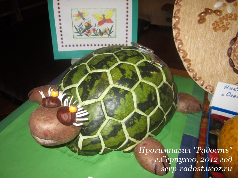 Черепаха своими руками для сада (73 фото)