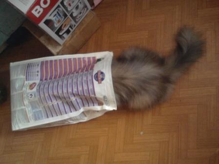 post-1324-059291800 1286209051_thumb.jpg