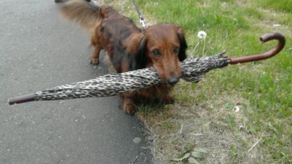 post-1324-076080300 1286093815_thumb.jpg