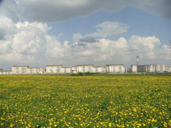 post-1366-021840200 1286378970_thumb.jpg