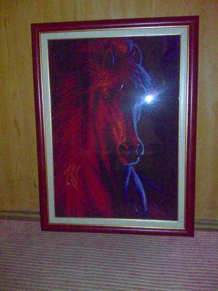 post-2823-081628800 1287251465_thumb.jpg