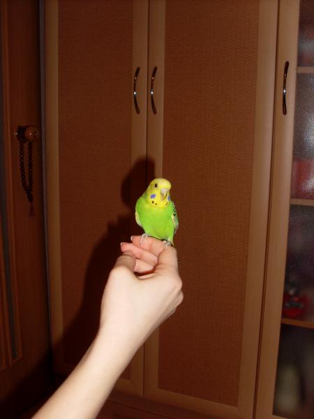 post-2946-003077400 1287495024_thumb.jpg