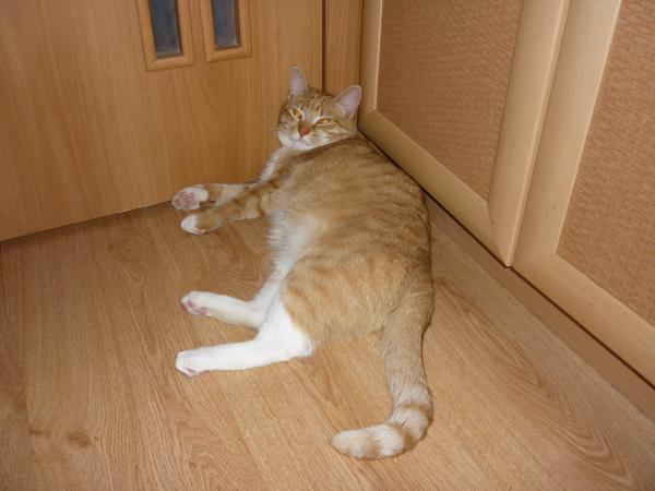 post-2946-013646500 1287494984_thumb.jpg