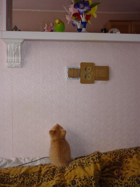 post-2946-019508900 1287494790_thumb.jpg