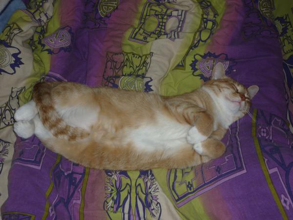 post-2946-047847900 1287495294_thumb.jpg