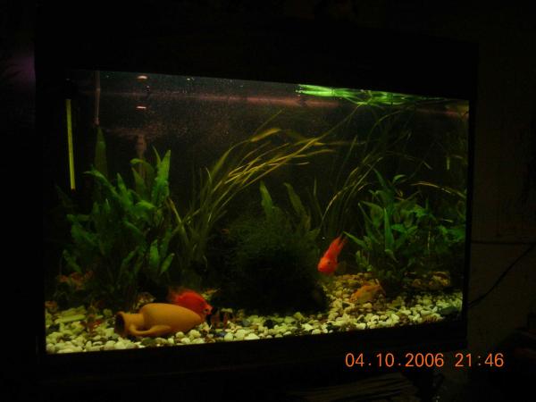 post-902-019812400 1286638373_thumb.jpg