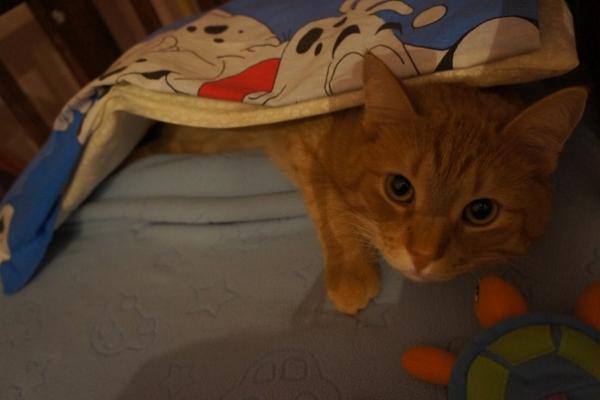 post-3489-084035900 1319302676_thumb.jpg