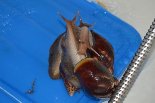 post-4626-022456000 1319842717_thumb.jpg