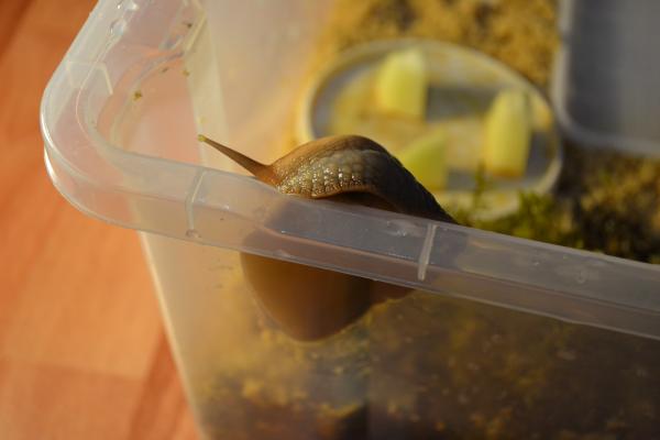 post-4626-032819800 1319842323_thumb.jpg