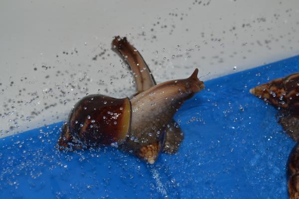 post-4626-038722300 1319842428_thumb.jpg