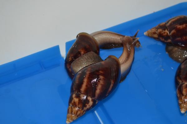 post-4626-081693300 1319842530_thumb.jpg