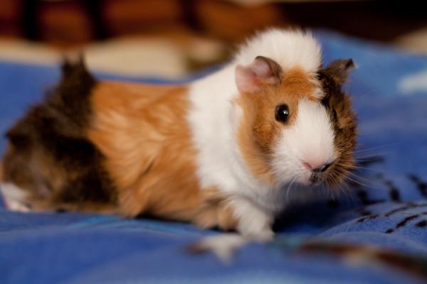 post-1403-059189700 1290359023_thumb.jpg