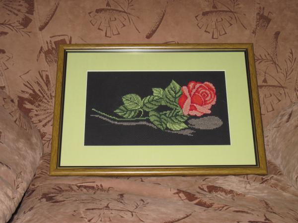 post-2382-086498400 1288719164_thumb.jpg