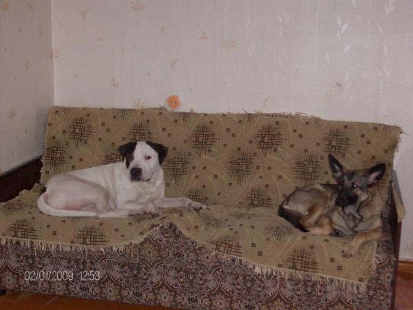 post-3038-060065300 1290858889_thumb.jpg