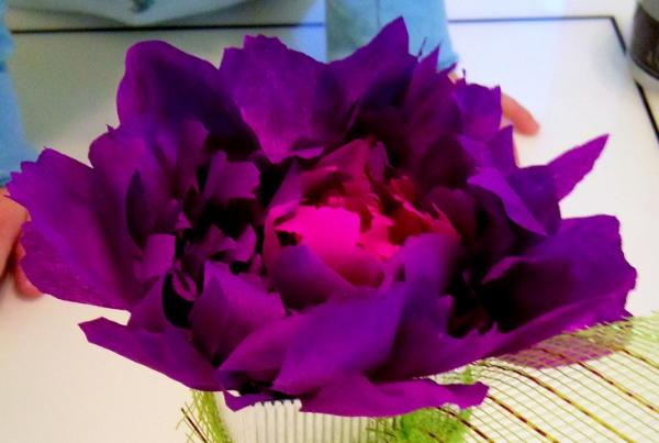 post-1377-046710900 1292592661_thumb.jpg