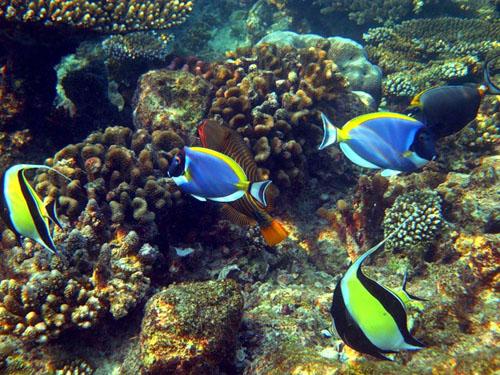 post-1836-053526100 1293464234_thumb.jpg