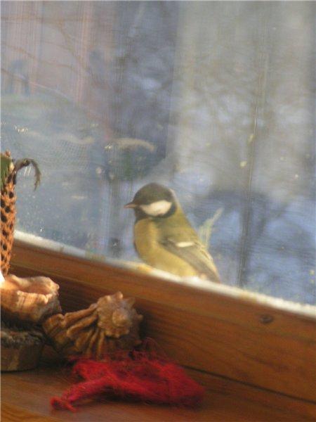 post-2259-003408200 1291808937_thumb.jpg