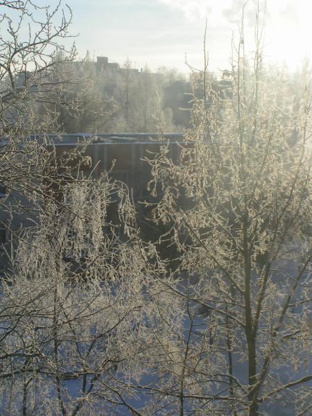 post-2259-049176700 1291808706_thumb.jpg