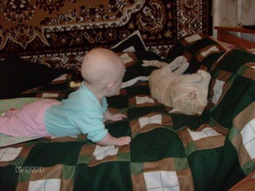 post-3164-099196700 1292910781_thumb.jpg