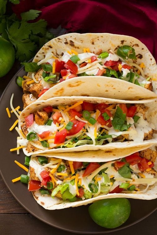 e67a0dc4a61d19956f53a7be665ccd55--cilantro-lime-sauce-grilled-chicken-tacos.jpg